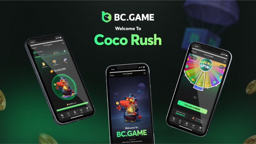 Comprehensive Guide on Support BC Game 1 Comprehensive Guide on Support BC Game 1